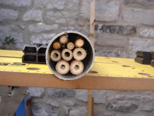 Remplissage du tube PVC avec les tronçons de bambou et / ou de renouée Remplissage du tube PVC avec les tronçons de bambou et / ou de renouée